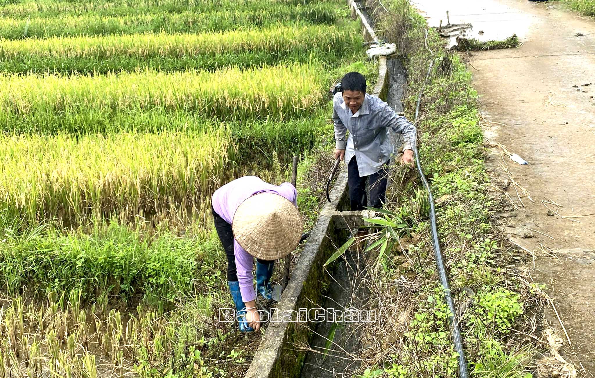 Bà con xã Thèn Sin, huyện Tam Đường phát quang, nạo vét các kênh mương đảm bảo nước tưới.
